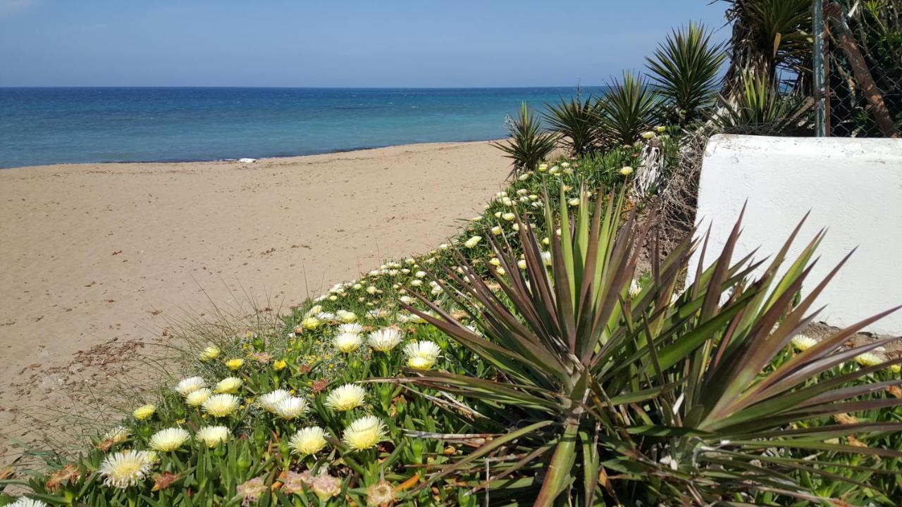 Appartamento Camino del Vasco Dénia Esterno foto
